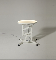 Table de toilettage pour animaux de compagnie rotative pneumatique en acier inoxydable et acrylique avec lumières LED réglables à distance, faible bruit, sûre YM-Q201LP