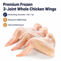 Ailes de poulet entières congelées en vrac, halal, IQF, drumette à pointe plate pour barbecue, restaurant, exportation de volailles de qualité supérieure