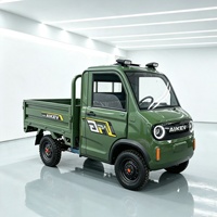 Camion de fret électrique à 4 roues, mini camionnette électrique pour le transport agricole, personnalisation possible, fourni par l'usine