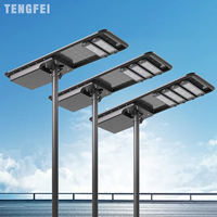 Nouveau modèle de lampadaire solaire électrique extérieur personnalisable 100W 200W