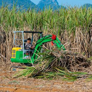Cargadores de Caña de Azúcar Personalizados, Móviles, de 4 Ruedas, con Garra para Levantar Caña de Azúcar, Equipo Agrícola - Product Image 4