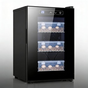 Années d'expérience dans la fabrication d'incubateurs pour œufs <span class=keywords><strong>de</strong></span> poule et d'incubateurs à œufs pour poulets, qualité garantie. - Product Image 3