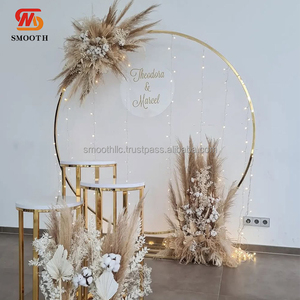 Soporte Circular de Acero Inoxidable SMOOTH C-081 para Arco de Globos, Decoración de Jardín, Patio, Bodas, Fiestas en Interiores y Exteriores - Product Image 2