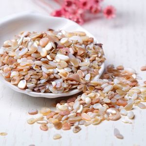 Revêtement de sol en terrazzo en pierre naturelle, écologique, non toxique, copeaux de coquillages concassés, <span class=keywords><strong>gravier</strong></span> de qualité supérieure, pierre concassée pour jardin, parc - Product Image 1