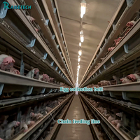 Système de cages à poulets en H entièrement automatique, 3 à 12 niveaux pour plus de 10 000 oiseaux, équipement d'élevage avicole galvanisé à chaud