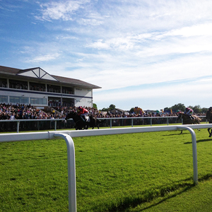 Clôture de cheval d'arène professionnelle avec rails de sécurité Breakaway idéal pour la clôture de course de chevaux d'entraînement de sprint <span class=keywords><strong>pur</strong></span>-<span class=keywords><strong>sang</strong></span> - Product Image 3