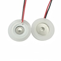 Transductor Esférico de Cerámica Piezoeléctrica PZT de 4MHz, Baja Pérdida Dieléctrica, Cables Personalizados, Tamaño Personalizado, Certificado ISO9001 CEC
