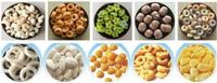 Ligne d'extrusion de snacks soufflés au maïs avec moules interchangeables et fonctions de remplissage, séchage et assaisonnement pour la production de snacks façonnés
