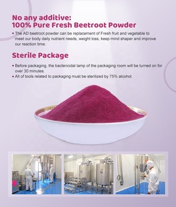 स्प्रे सूखे बेट्रोट पाउडर - Product Image 5