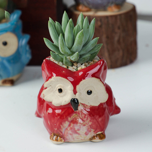 Dessin animé <span class=keywords><strong>animaux</strong></span> petit succulent intérieur bonsaï Mini Pot en <span class=keywords><strong>céramique</strong></span> <span class=keywords><strong>jardin</strong></span> fleur plantes Pots en <span class=keywords><strong>céramique</strong></span> succulente Pot - Product Image 6