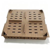 Boîtes pour poussins d'un jour, carton perforé, boîte de transport pour poussins, cage à poulets