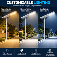 Lampe solaire de rue automatique tout-en-un XIUBEN, lampe de route extérieure LED avec batterie LiFePO4, panneau solaire MPPT TOPCon