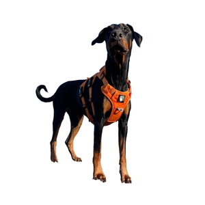 Arnés Táctico para Perro con Correa, Nuevo, Listo para Enviar, Nailon 420D, Acolchado de Malla Transpirable, Arnés K9 - Product Image 1