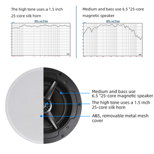 Altavoz de Techo Inalámbrico BT con Sistema de Audio y Amplificador para Cine en Casa Inteligente, Altifalante de Techo Comercial - Product Image 5