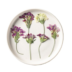 Verbena-Vela <span class=keywords><strong>con</strong></span> ramas para hacer jabón, planta Natural ecológica, flor prensada en marco - Product Image 1