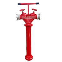 Hydrant extérieur durable DN100 à double sortie - Outil de lutte contre l'incendie à réponse rapide