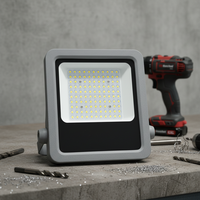 Projecteur extérieur IP66 50 Watts avec boîtier en aluminium gris