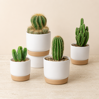 Pot de fleurs en céramique de haute qualité avec base de stockage d'eau en coton absorbant, jardinières paresseuses en plastique double couche