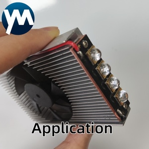 40W <strong>UV</strong> <strong>LED</strong> <strong>Lamp</strong> 365nm 395nm <strong>Module</strong> 6565 <strong>UV</strong> Curing Light for A3 3D Printer <strong>Uv</strong> Ink Curing - Product Image 4