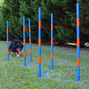 Equipo de Entrenamiento de Agilidad para Perros de 2x2 Postes, Postes de Plástico de 6 Postes para Juegos de Patas, Competiciones, Slalom - Product Image 3
