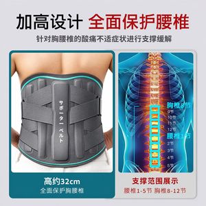 Ceinture de soutien lombaire Zeamo 32 cm, fixation solide, pour exercices quotidiens et sports - Product Image 5