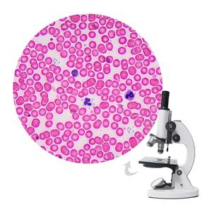 Section d'échantillon de microscope expérimental biologique de frottis de sang humain Cellules rouges et blanches de tissu humain claires et faciles à observer - Product Image 1