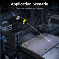 Nouveau module laser infrarouge ZhonNa 808nm 200mW - Capteur de positionnement interactif de projection nocturne infrarouge proche pour visée et pointage