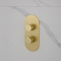 Ensemble de mélangeurs thermostatiques de douche, de luxe, à montage mural, économie d'eau en pluie et à domicile,