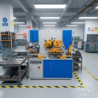 Machine hydraulique combinée de poinçonnage et de cisaillement, machine intégrée de découpe et de poinçonnage pour acier profilé et acier cornière