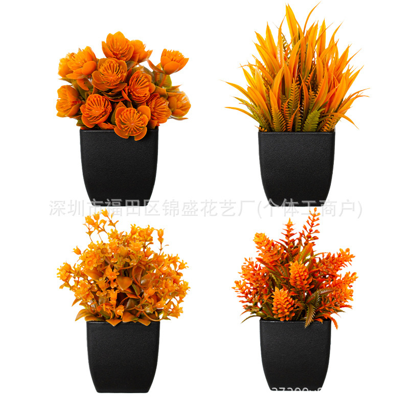 Cuatro plantas en macetas en colores otoñales [pequeños cuadrados negros]