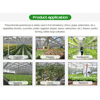 Grande couverture en polycarbonate de serre de ferme verticale hydroponique de jardin extérieur pour arrière-cour en vente