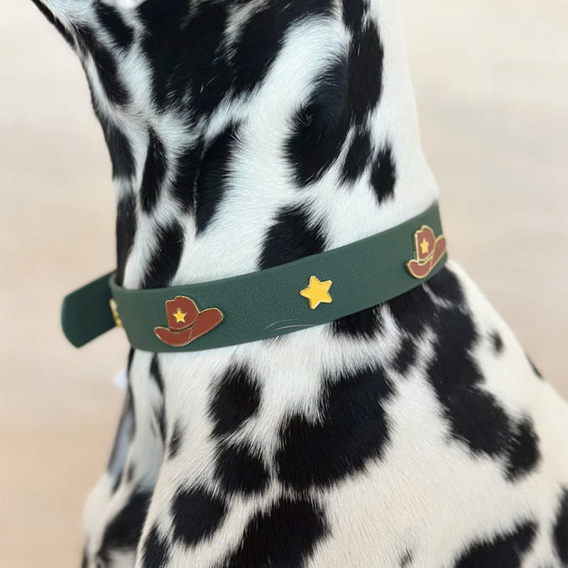 dog collar charm saint