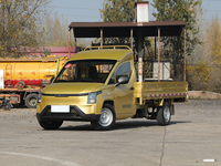 LINXYS Golden Mini Truck 2025 Offre Spéciale Pickup électrique à usage intensif