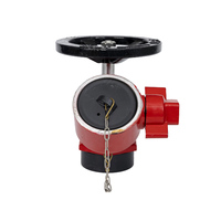 Hydrant d'incendie extérieur Taikong 2 voies en acier inoxydable et fonte ductile rouge DN150, type pilier à double sortie 1,6 MPa, personnalisable
