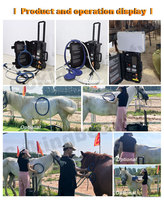 Appareil de thérapie PEMF à impulsions électromagnétiques pour chevaux, directement de l'usine, améliore la mobilité des articulations, appareil PEMF pour élevages équestres
