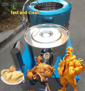 Machine à plumer les poulets électrique, éliminateur <span class=keywords><strong>de</strong></span> plumes, meilleur <span class=keywords><strong>prix</strong></span> pour les restaurants et les boucheries - Product Image 2