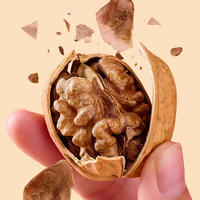 Noix en gros naturelles séchées en coque, en vrac, collation saine, pour petit-déjeuner et pâtisserie, emballage personnalisé OEM