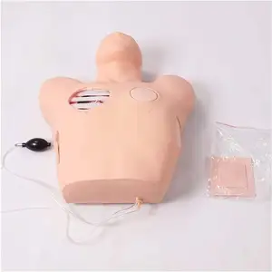 Nursing dummy simulator for medical chest (back) puncture training model thorax The thoracic cavity