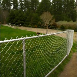 Dingya High Quality 6.5ft Cyclone Wire Fence Hot Dipped Galvanized PVC Coated <strong>Chain</strong> <strong>Link</strong> Wire Mesh for Ranch Yard Use Black - Product Image 1