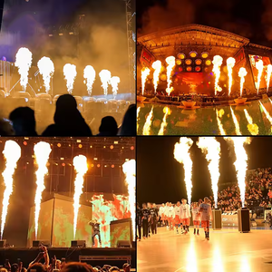 Équipement de scène 200w Effets spéciaux Contrôle DMX Machine à flammes Machine à jet Pulvérisateur de feu Moteur de feu Concert Disco <span class=keywords><strong>Dj</strong></span> - Product Image 5