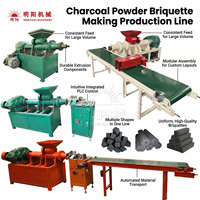 Ligne de production automatique de briquettes de charbon de bois pour barbecue, machine de fabrication de briquettes à commande PLC, usine industrielle de briquetage de poudre de carbone
