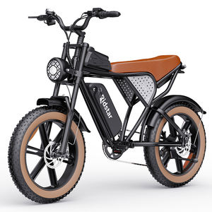 커스텀 로고 릿스타 Q20 48V 15Ah 20인치 팻 타이어 성인용 전기 산악 자전거 - Product Image 1