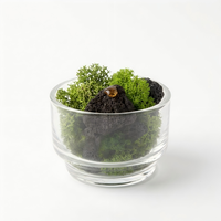 Diffuseur d'arômes en verre avec mousse préservée écologique et pierre de lave, roche volcanique naturelle, décoration d'intérieur, parfum d'ambiance