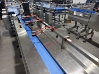 Ligne d'alimentation et d'emballage automatique horizontale pour barres chocolatées, barres protéinées, barres énergétiques et barres granola