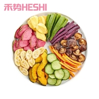 Bulkverpakking VF Gemengde Fruit- en Groentechips 12 Soorten Groente- & Fruitchips Knapperige Snack Gezonde Vacuümgefrituurde Gedroogde Groenten