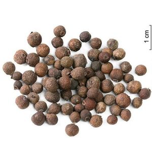 เมล็ด pimento ทั้งเมล็ดแห้งแบบธรรมชาติผลไม้เครื่องเทศทั้งหมดสำหรับเครื่องเทศยอดนิยม - Product Image 6