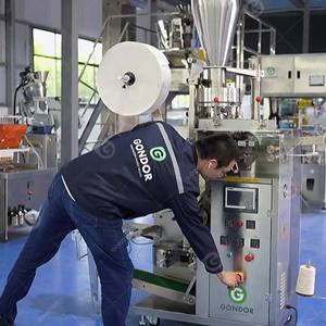 Machine d'emballage entièrement automatique à faible coût pour sachets de café et de thé avec ficelle et étiquette - Product Image 2