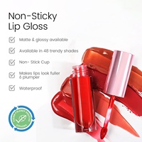 Gloss à lèvres liquide mat longue durée imperméable, brillant miroir hydratant, 48 couleurs, logo personnalisé, marque privée