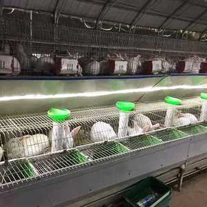 Nuova Gabbia per Conigli Multi-Livello Commerciale Tipo A in Acciaio per Allevamento all'Aperto con Sistema Automatico di Alimentazione e Abbeveraggio - Product Image 2