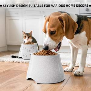 Comedero Elevado para Perros de Acero Inoxidable M2 Cups con Diseño Antideslizante para Uso en Interiores - Product Image 6